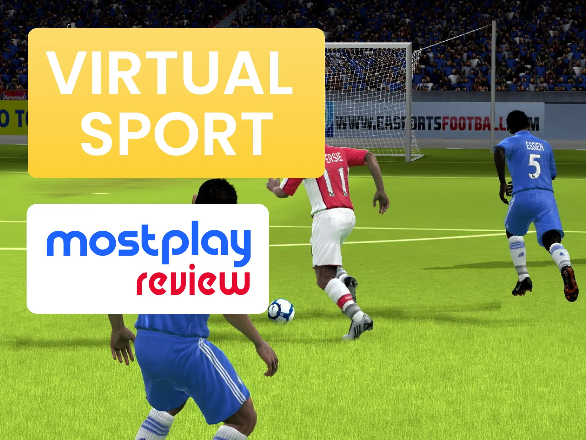 Bet on the most exotic types of virtual sports at Mostplay.